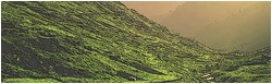 http://img1.xooimage.com/files/f/1/e/sans-titre-12-428da5.jpg
