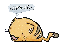 No new posts