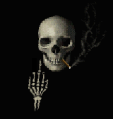 No new posts No new posts