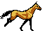 Horse2