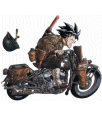 Avatar du membre