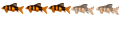 Petit Cuistot