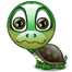 tortue